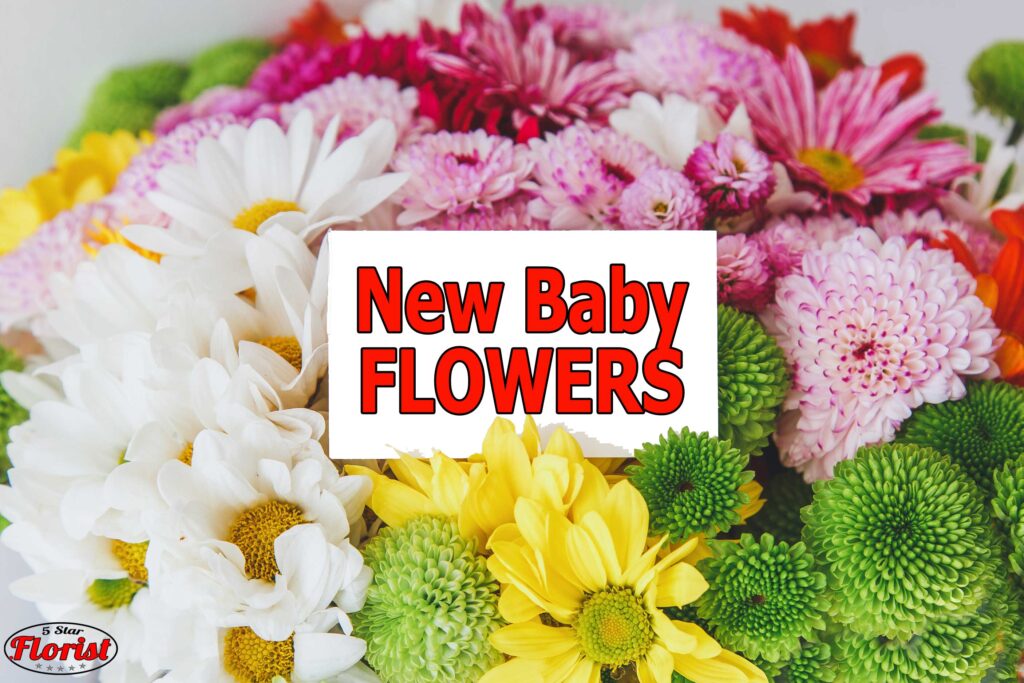 new baby flowers Vaughan